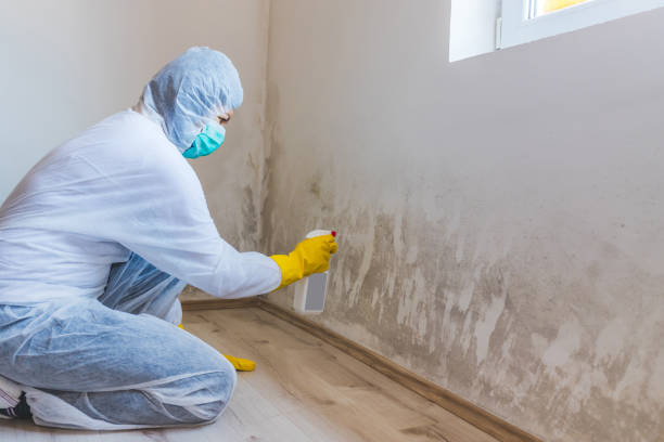 Crawl Space Mold Remediation treatment of floor joists in Jobstown